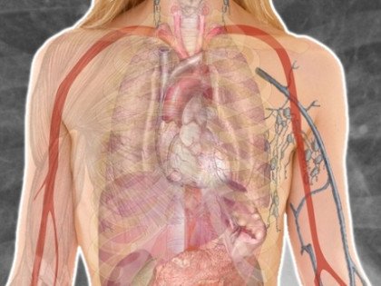 Further COPD Evidence Image