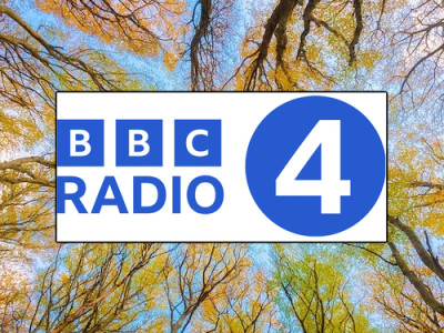Radio 4 Lays Into Disposables Image