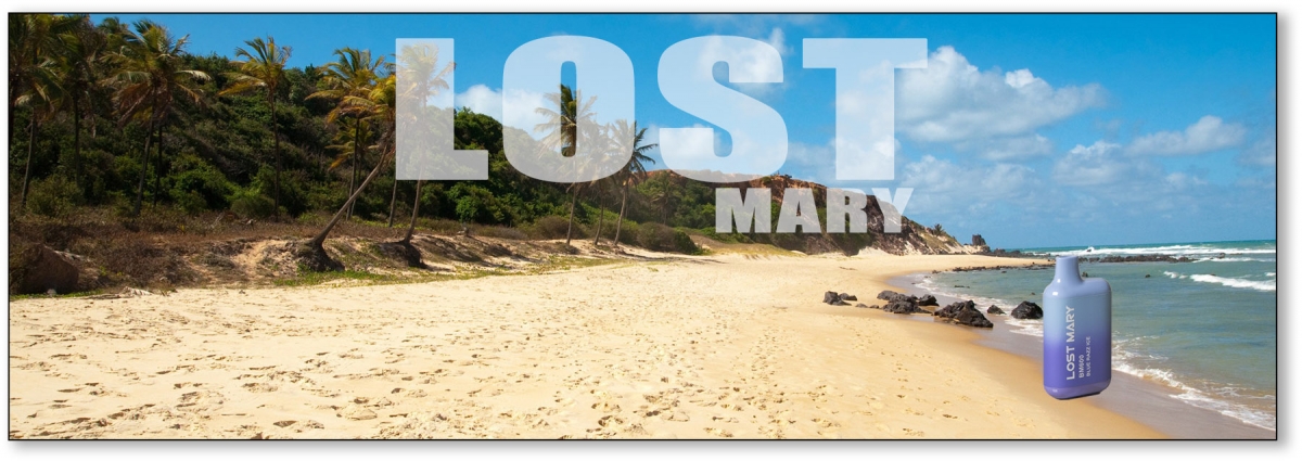 LOST Mary BM600S