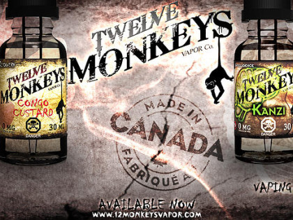 Twelve Monkeys Image