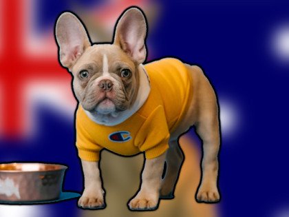 Australia's Dog’s Dinner Image