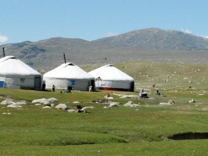 Mongolia Needs Harm Reduction Image