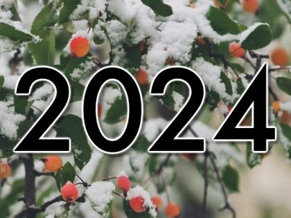 1 - Winter 2024 Round-up Image